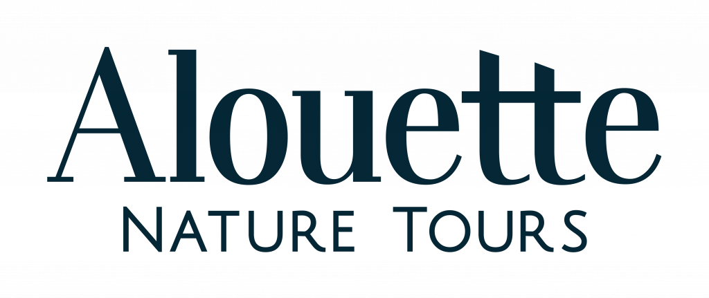 Alouette Nature Tours Wordmark by Catlemaire