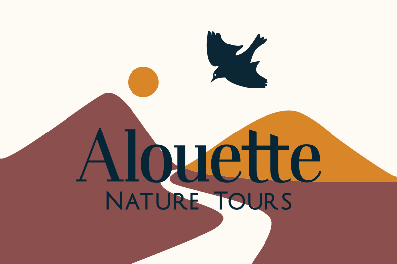 Alouette Nature Tours Branding