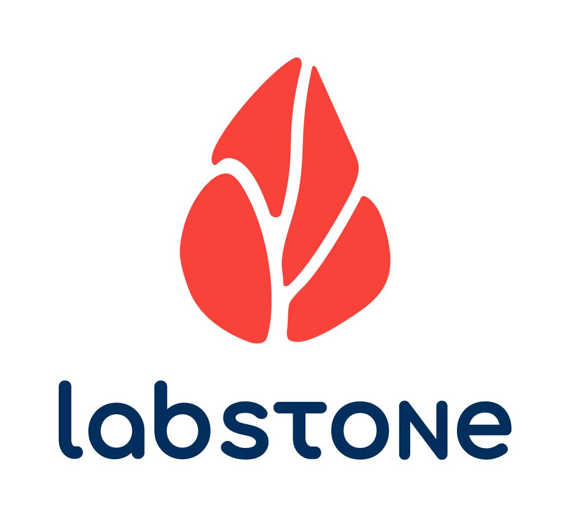 Labstone Logo Vertical